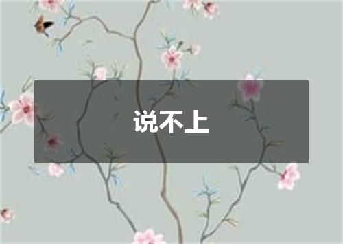 说不上