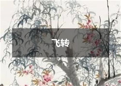 飞转
