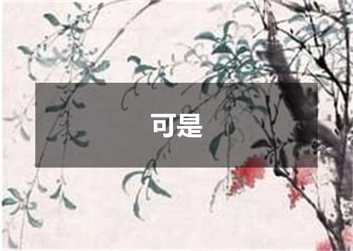 可是
