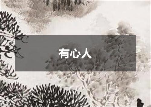 有心人