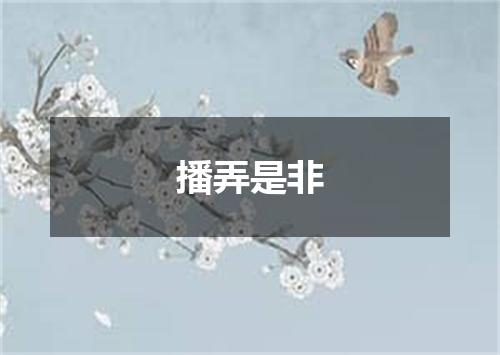 播弄是非