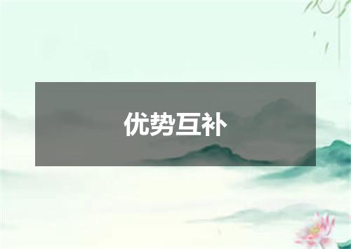 优势互补