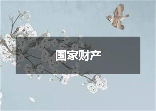 国家财产