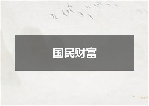 国民财富