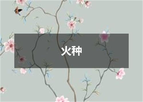火种