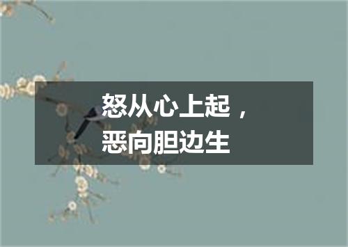 怒从心上起，恶向胆边生