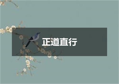 正道直行