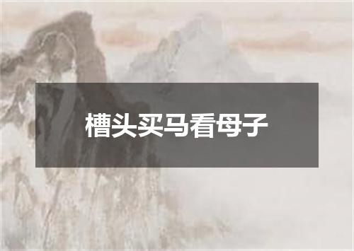 槽头买马看母子