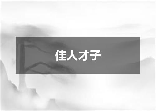佳人才子