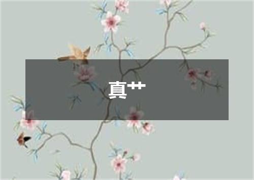 真艹