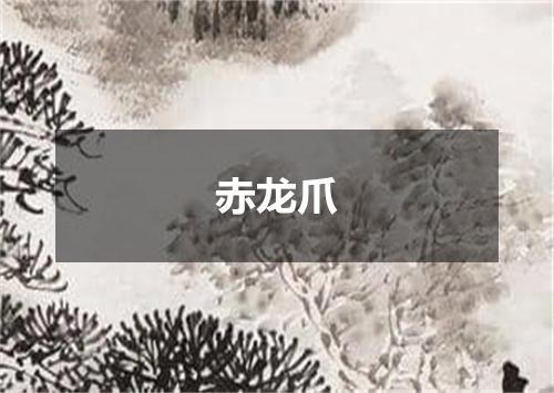 赤龙爪