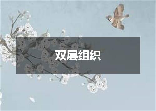 双层组织