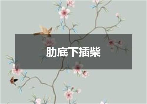 肋底下插柴