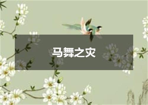 马舞之灾