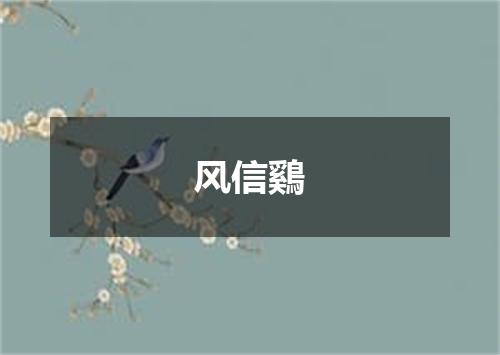 风信鷄