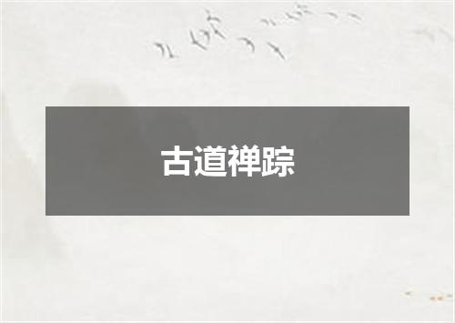 古道禅踪