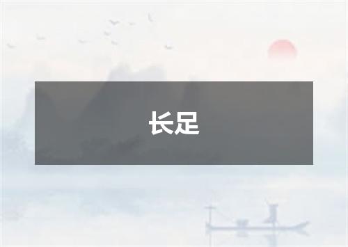 长足