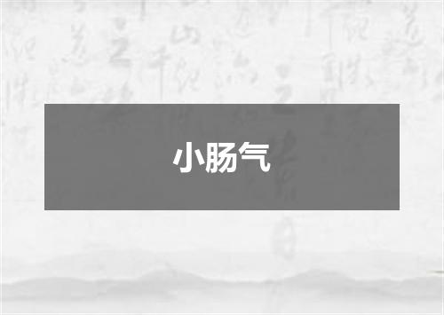 小肠气