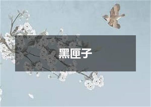 黑匣子
