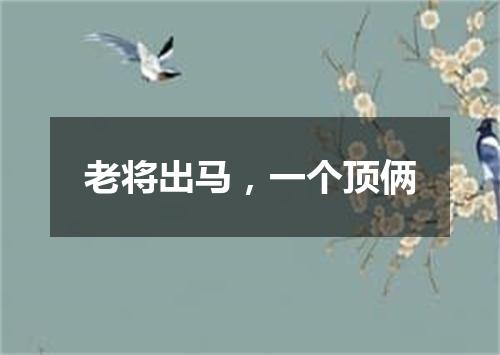 老将出马，一个顶俩
