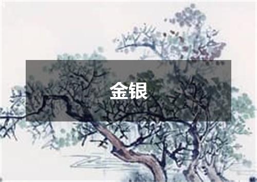 金银