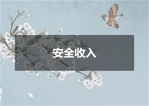 安全收入