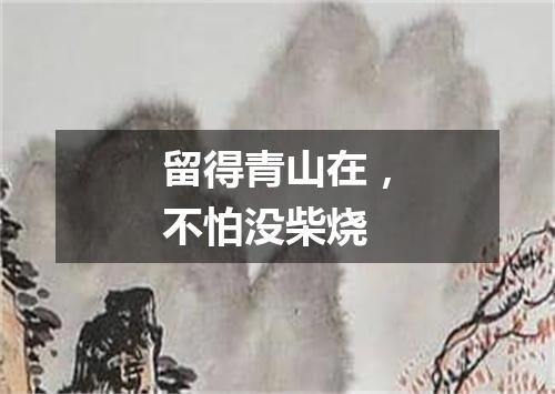留得青山在，不怕没柴烧