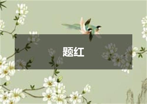 题红