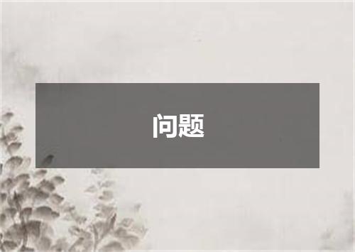 问题