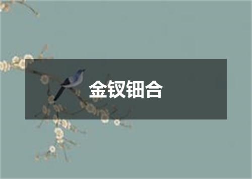 金钗钿合