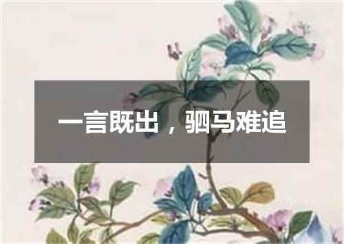 一言既出，驷马难追