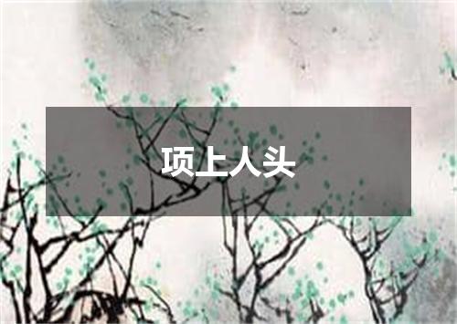 项上人头