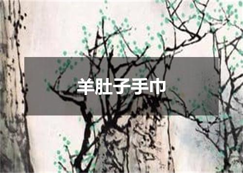 羊肚子手巾