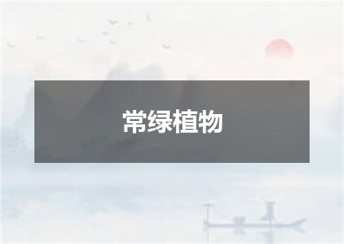 常绿植物