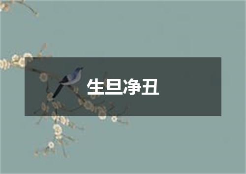 生旦净丑