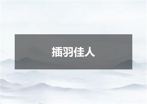 插羽佳人
