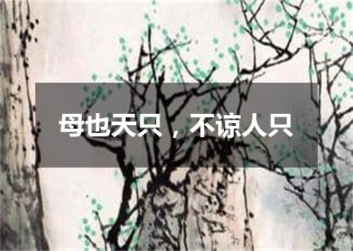 母也天只，不谅人只