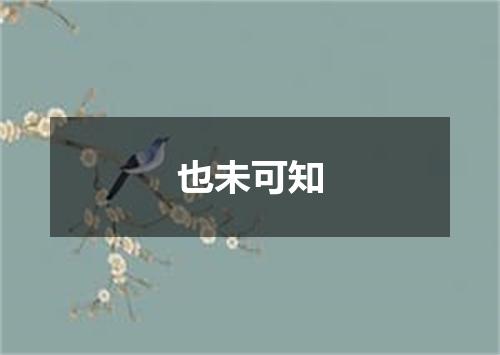 也未可知