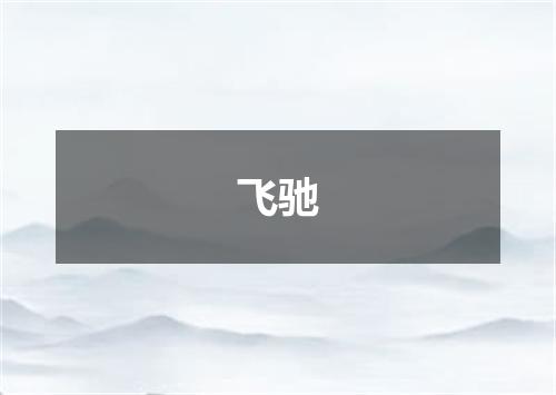 飞驰