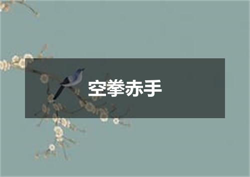 空拳赤手
