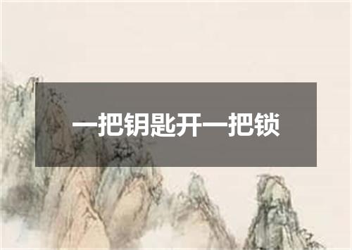 一把钥匙开一把锁