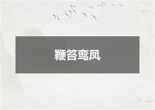 鞭笞鸾凤