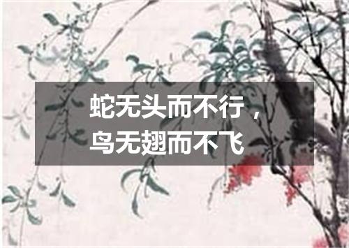 蛇无头而不行，鸟无翅而不飞
