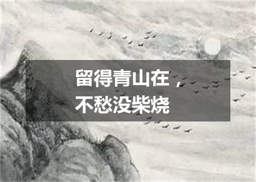 留得青山在，不愁没柴烧