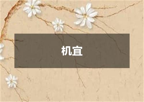 机宜