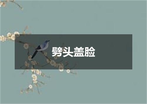 劈头盖脸