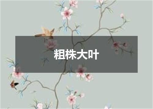 粗株大叶