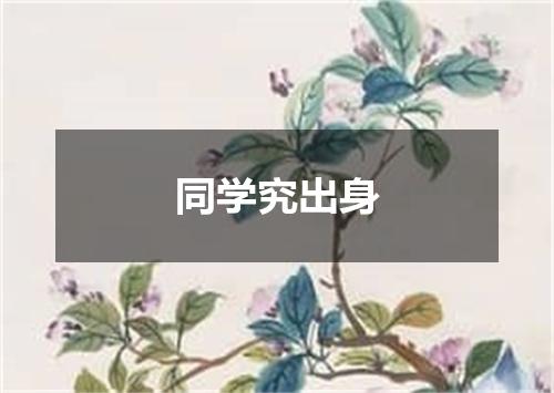 同学究出身