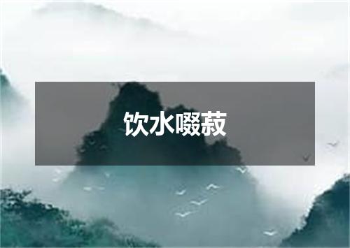 饮水啜菽