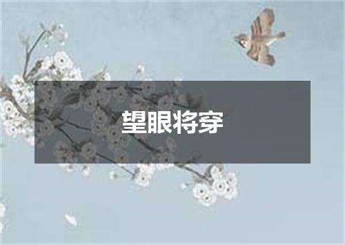 望眼将穿
